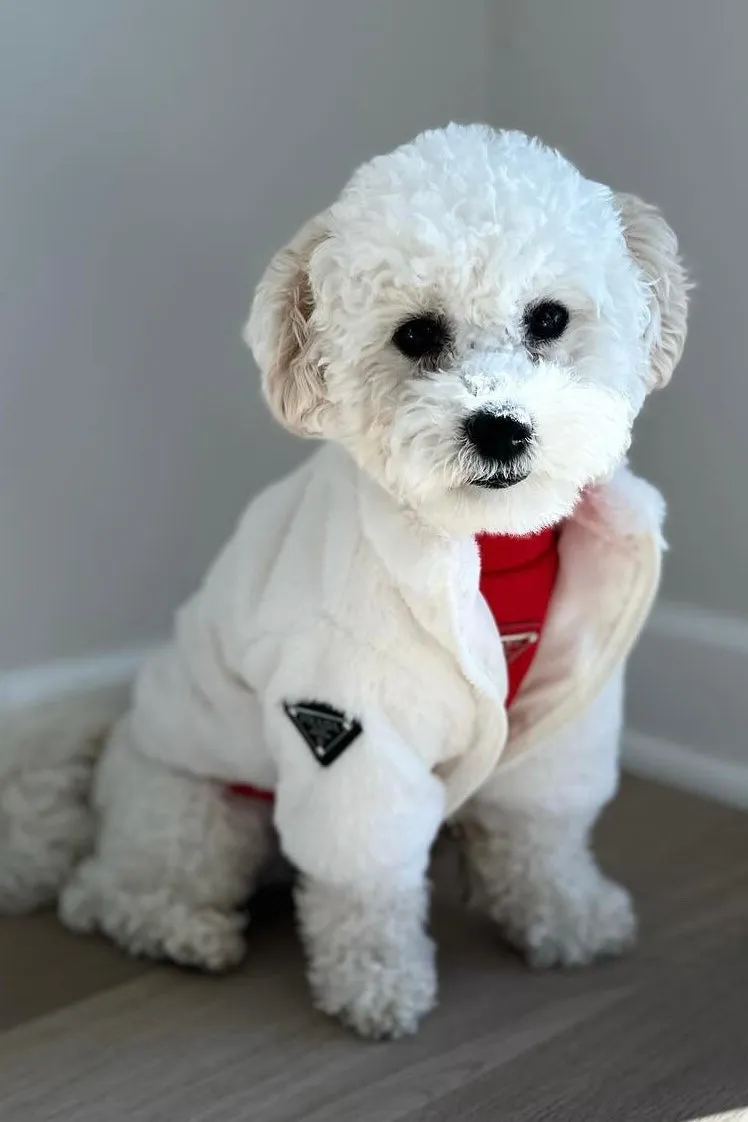 Luxurious Fur Coat