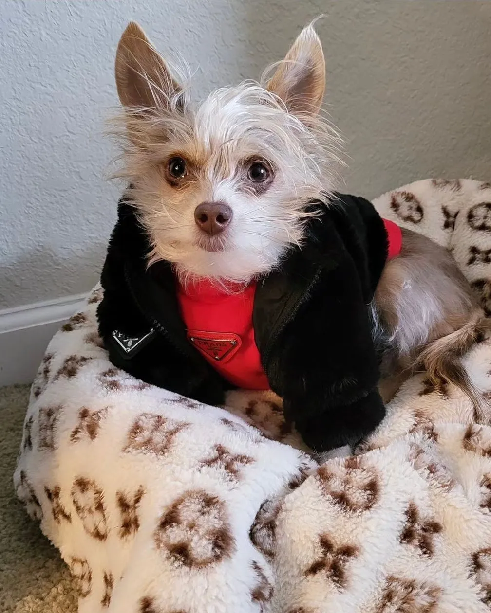Luxurious Fur Coat