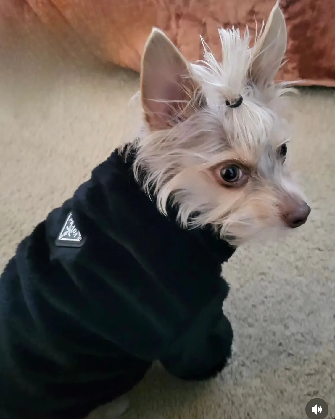 Luxurious Fur Coat