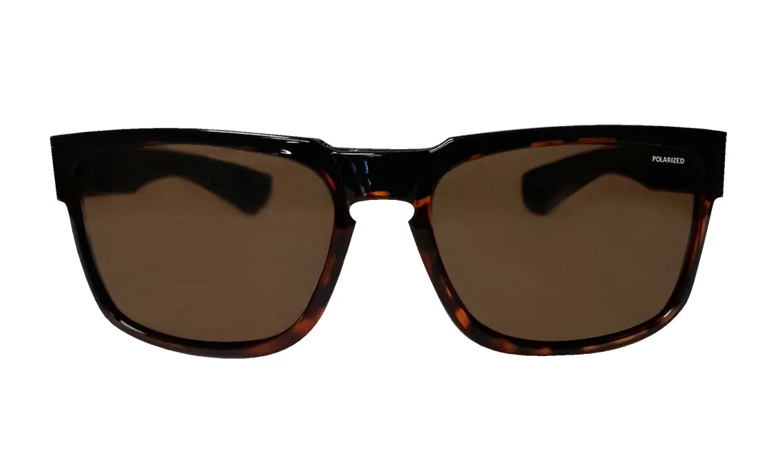 SMART - Polarized Tortoise