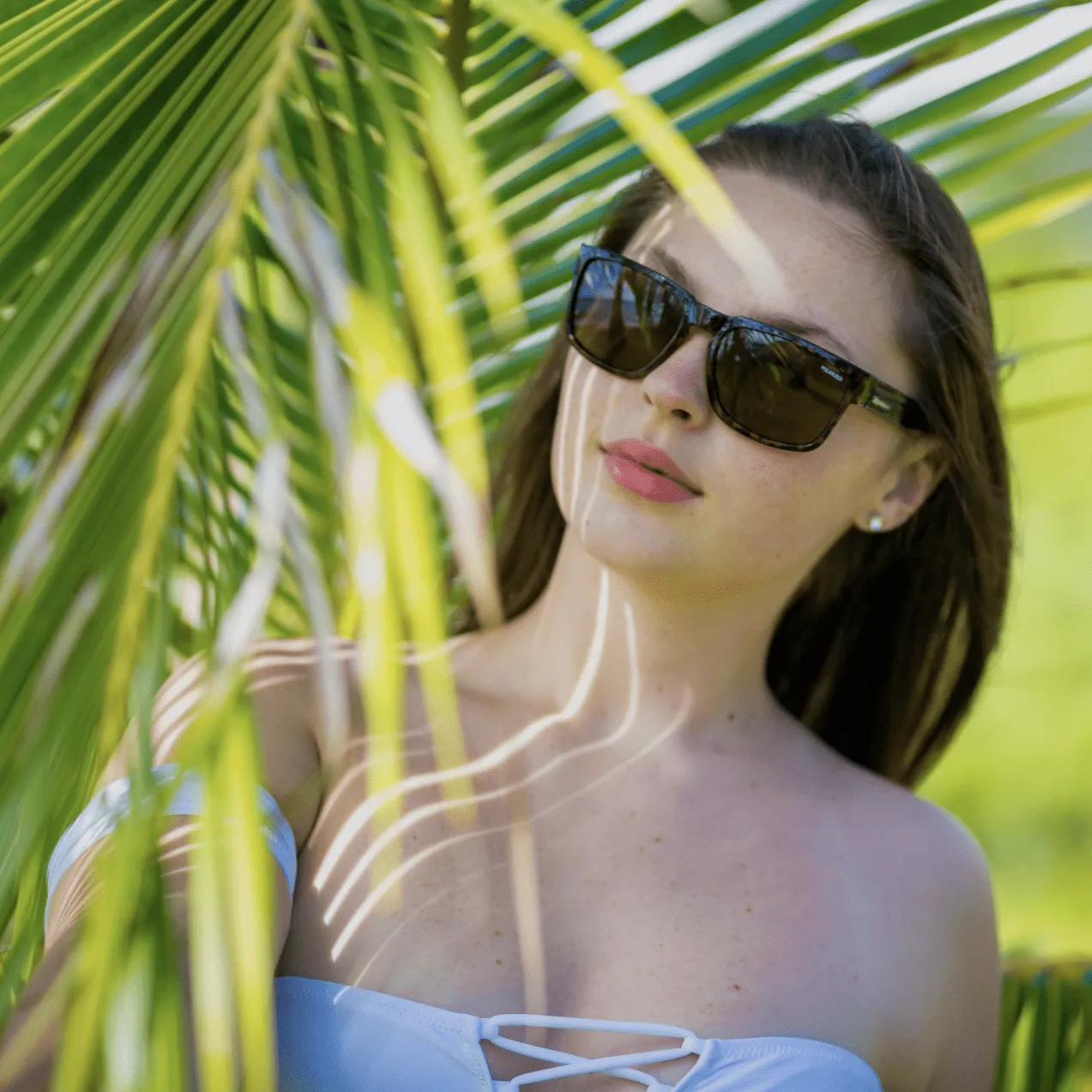 SMART - Polarized Tortoise